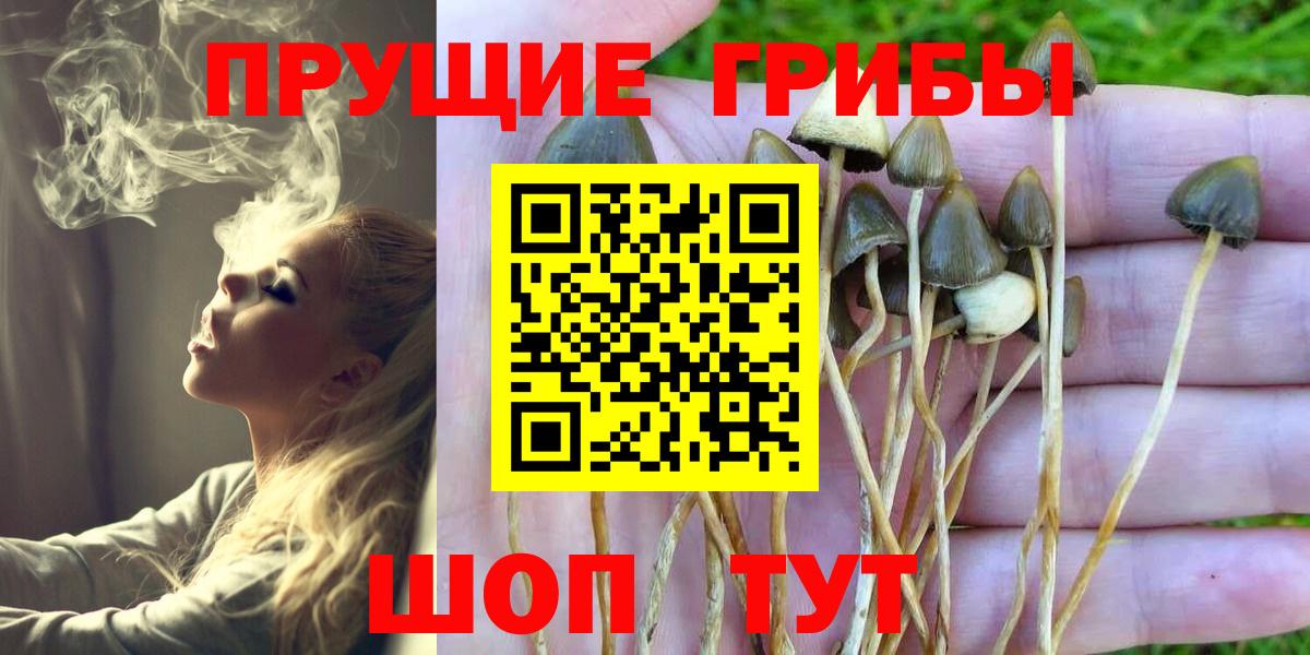 цены   Вход с VPN  Ефремов  Галлюциногенные грибы мицелий 