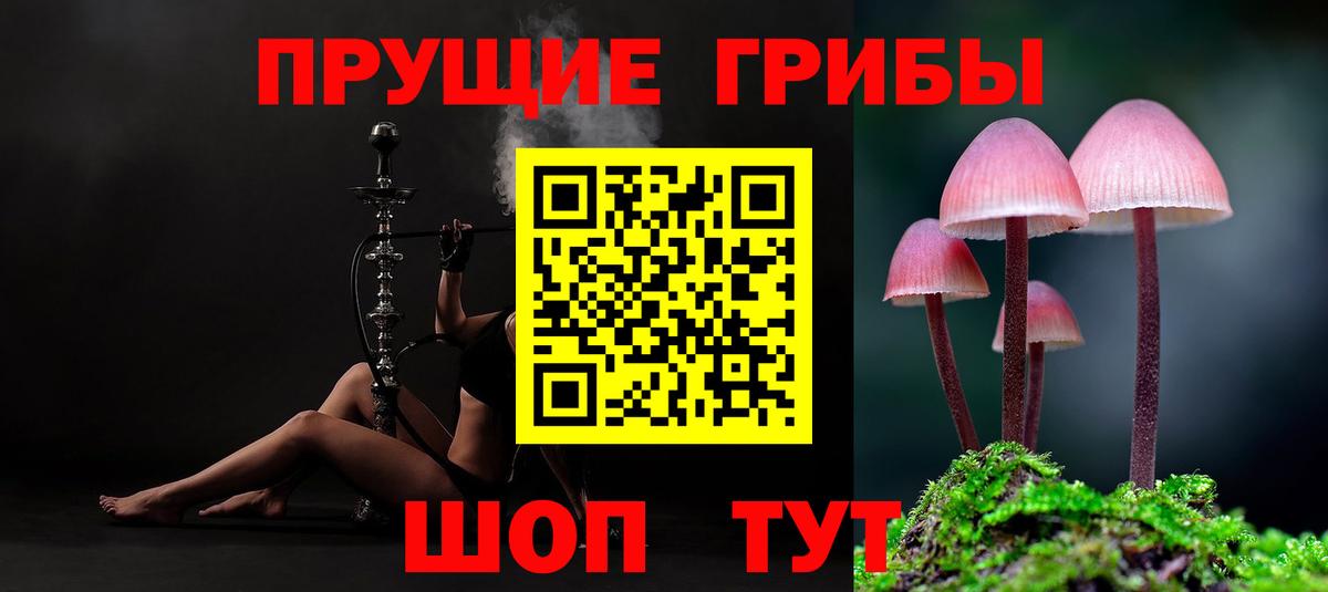 Псилоцибиновые грибы MAGIC MUSHROOMS Ефремов
